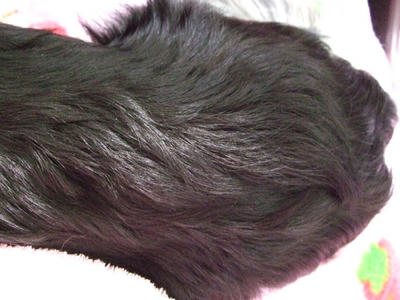 BLOG2008_02200013.JPG