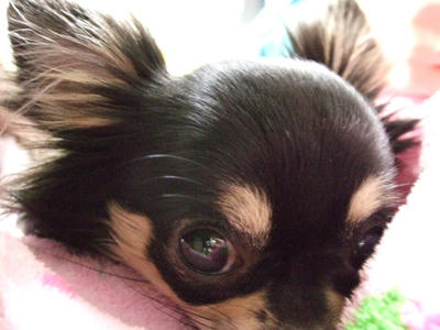 BLOG2008_02200014.JPG
