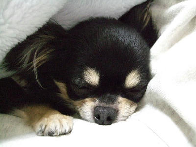 2008_02220020.JPG