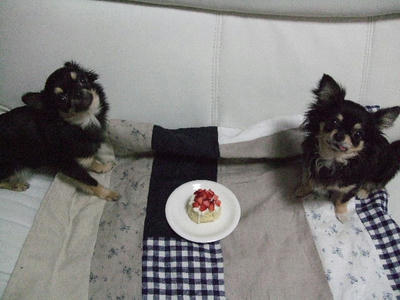2008_02260002.JPG