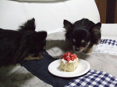 2008_02260006.JPG