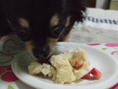 2008_02260013.JPG
