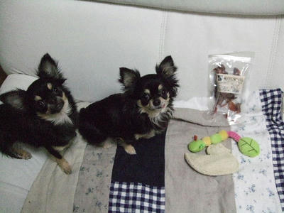 2008_02260025.JPG