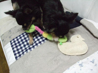 2008_02260027.JPG