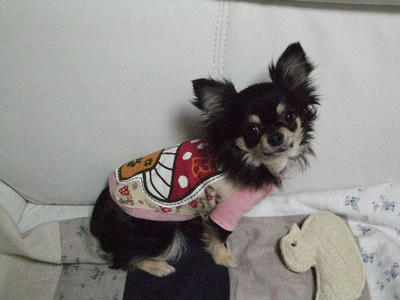 2008_02260037.JPG