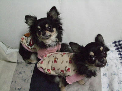 2008_02260042.JPG