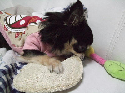 2008_02260043.JPG