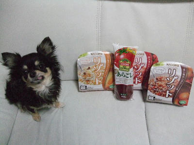 2008_02280005.JPG