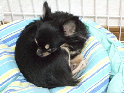2008_02280006.JPG