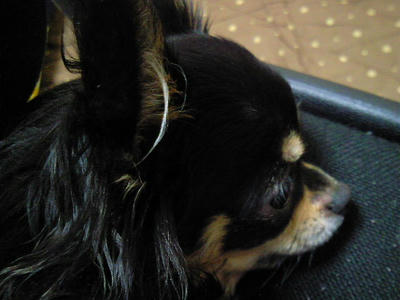 200803072248001.jpg