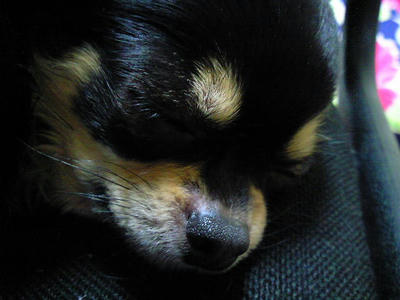 200803072249001.jpg