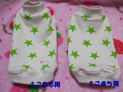 2008_03090007.JPG