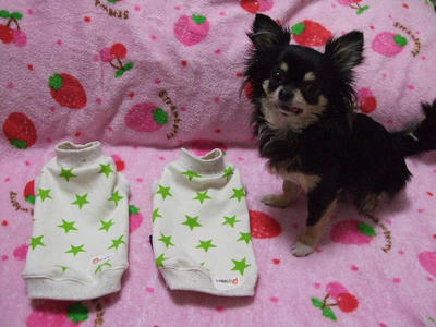 2008_03090010.JPG