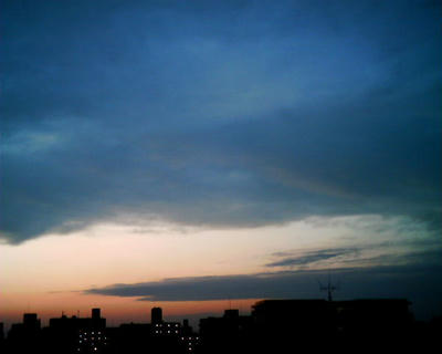 2008.3.9-001.JPG