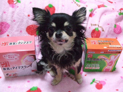 2008_03120013.JPG