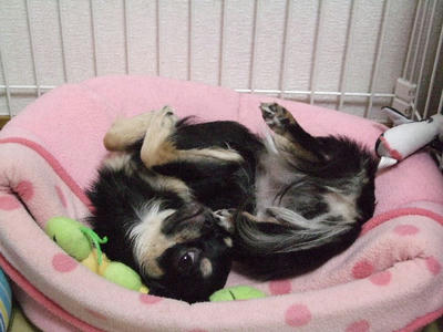 2008_03160010.JPG