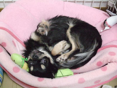 2008_03160011.JPG