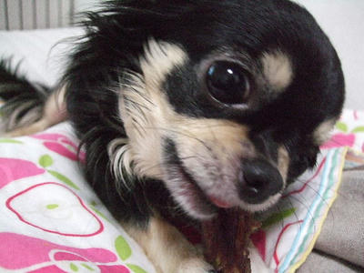 2008_03220006.JPG