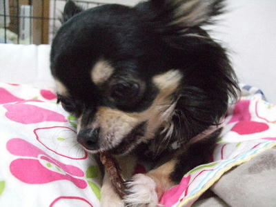 2008_03220010.JPG