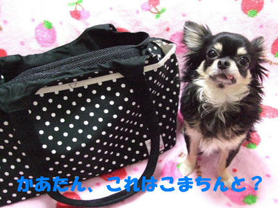 2008_03240004.JPG