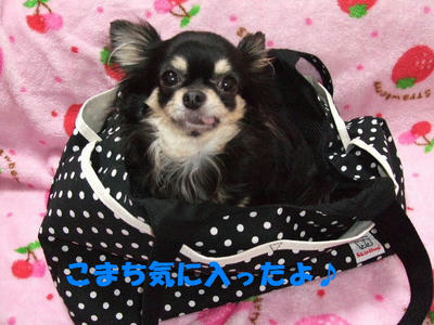 2008_03240009.JPG