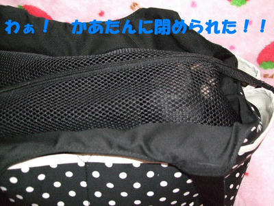 2008_03240010.JPG