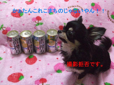 2008_03290002.JPG
