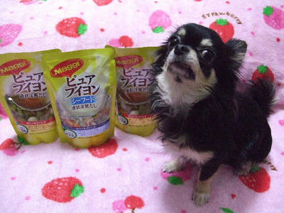 2008_03300001.JPG