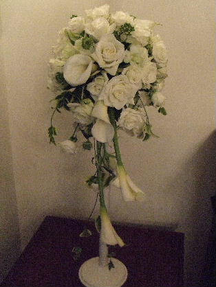 2008_03300076.JPG