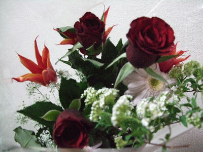 2008_03310014.JPG