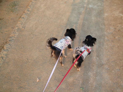 2008_04030042.JPG
