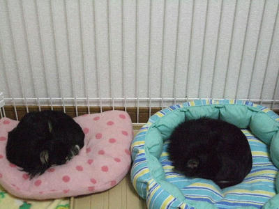 2008_04030046.JPG