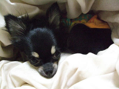 2008_04050009.JPG
