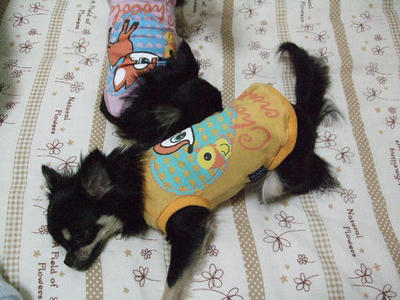 2008_04050021.JPG