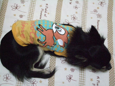 2008_04050026.JPG