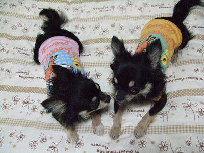 2008_04050041.JPG