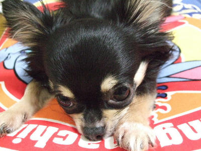 2008_04060007.JPG