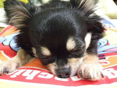 2008_04060013.JPG