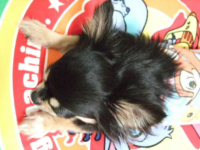 2008_04060014.JPG