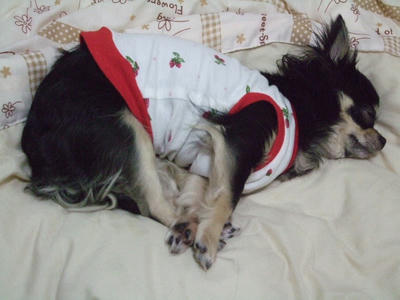 BLOG0079.jpg