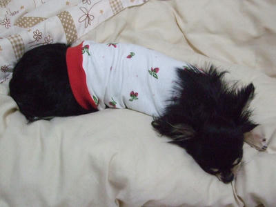 BLOG0080.jpg