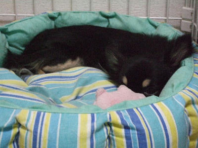 2008_04160002.JPG