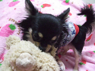 2008_04160013.JPG