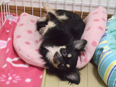 2008_04170002.JPG
