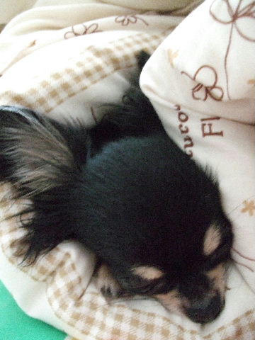 2008_04220003.JPG