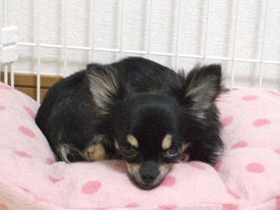 2008_04250002.JPG