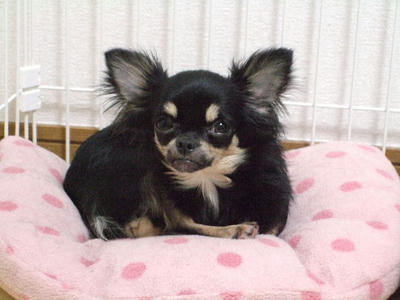 2008_04250005.jpg