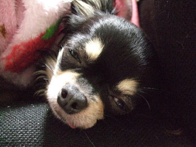 2008_04250010.jpg