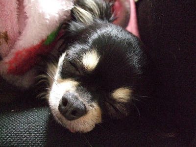 2008_04250011.jpg