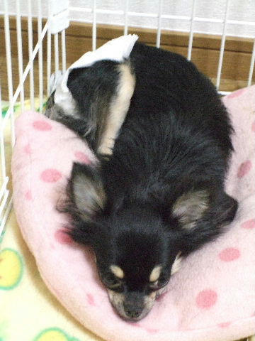 2008_04270006.jpg